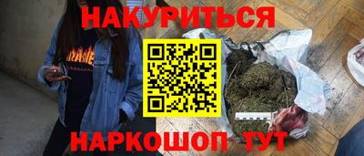 прущие крисы Кингисепп