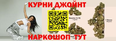 прущие крисы Кингисепп